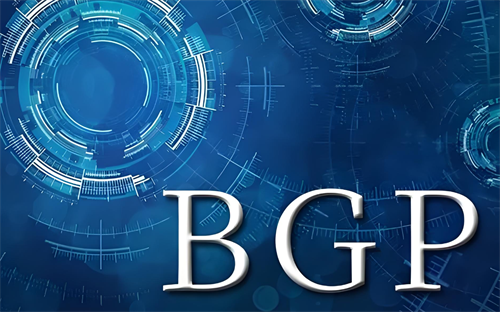 BGP高防服務器特點有哪些?BGP高防服務器應用場景