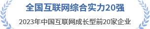 全國(guó)互聯(lián)網(wǎng)綜合實(shí)力20強(qiáng)